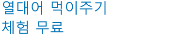 열대어 먹이주기 체험 무료